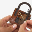 Picture of Einstein Lock Puzzle